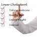 A woman with high cholesterol